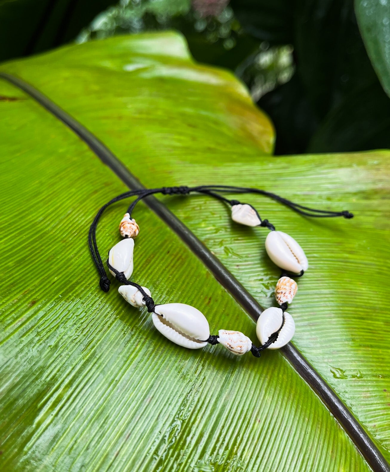 seashell bracelet on a green leaf
