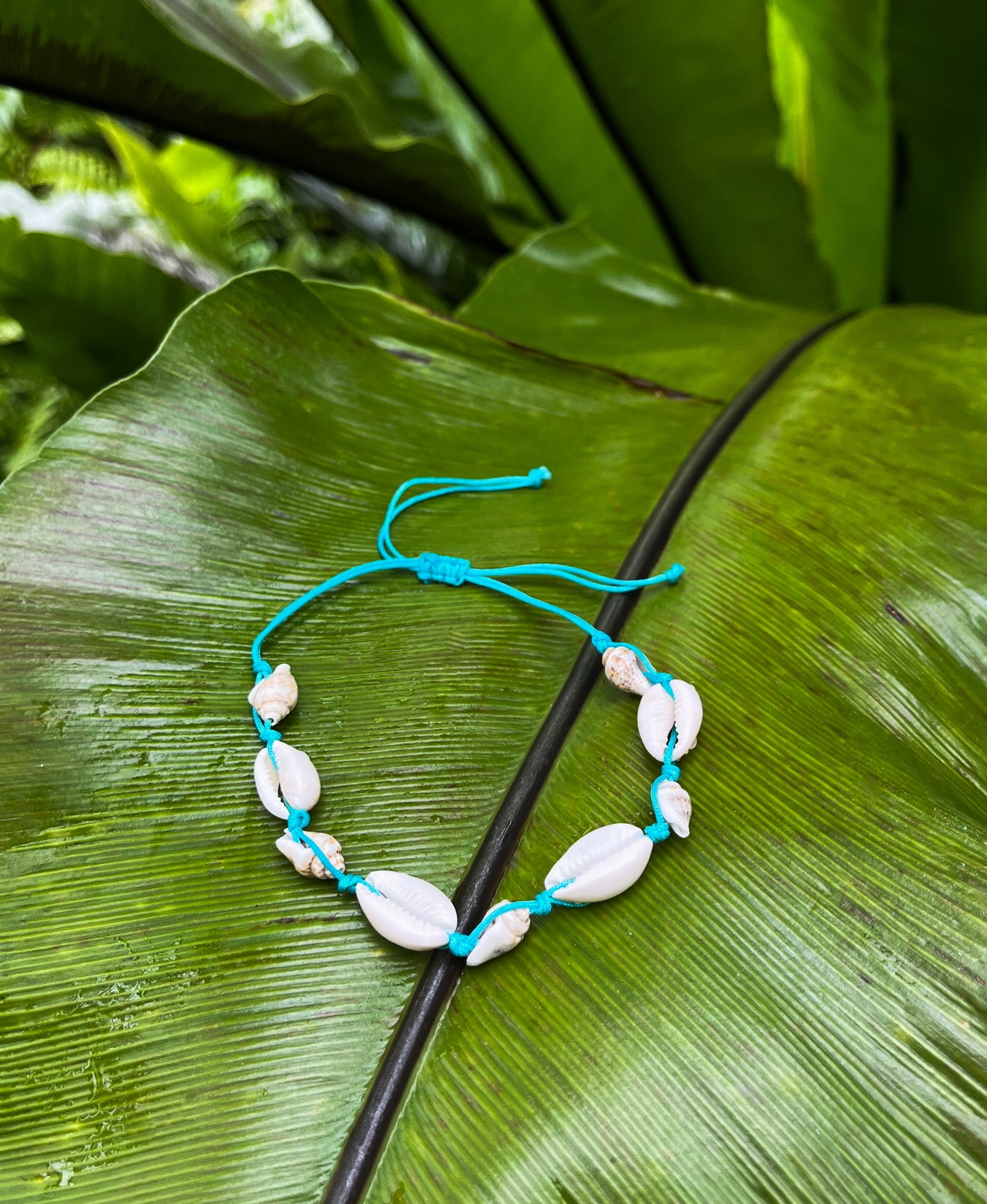 Turquoise seashell bracelet _ Ben's Beach