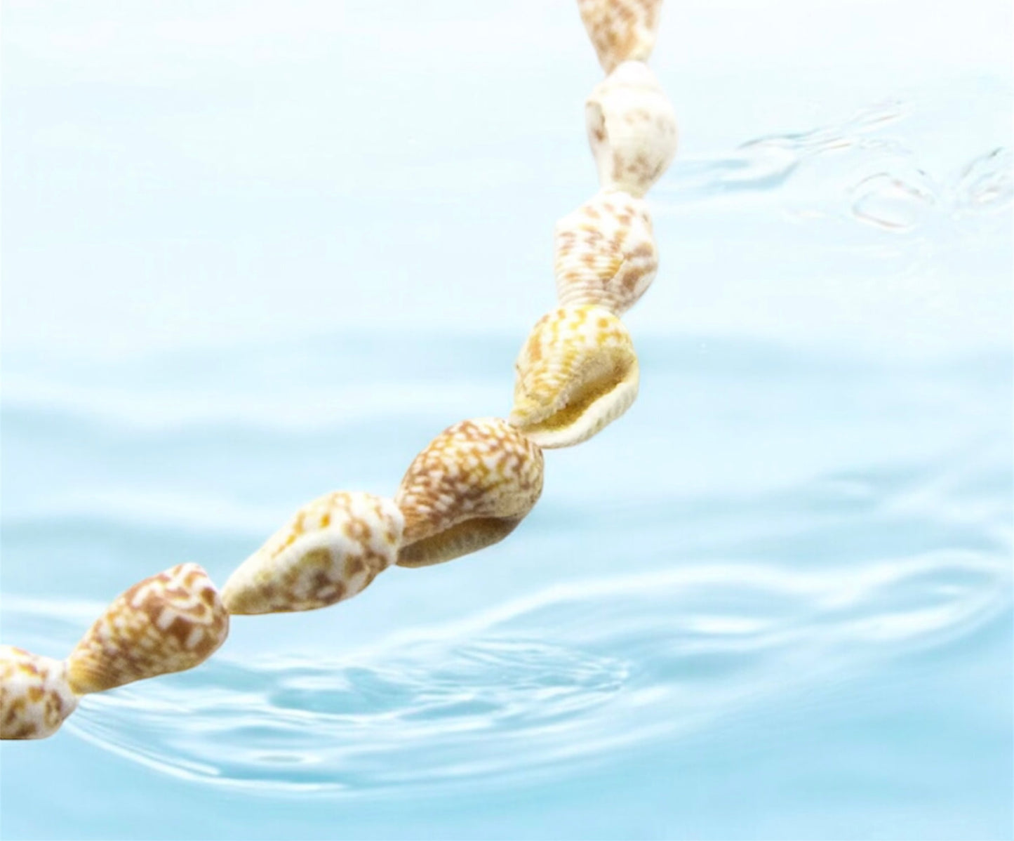 Koh Thmei - Conch Shell Choker