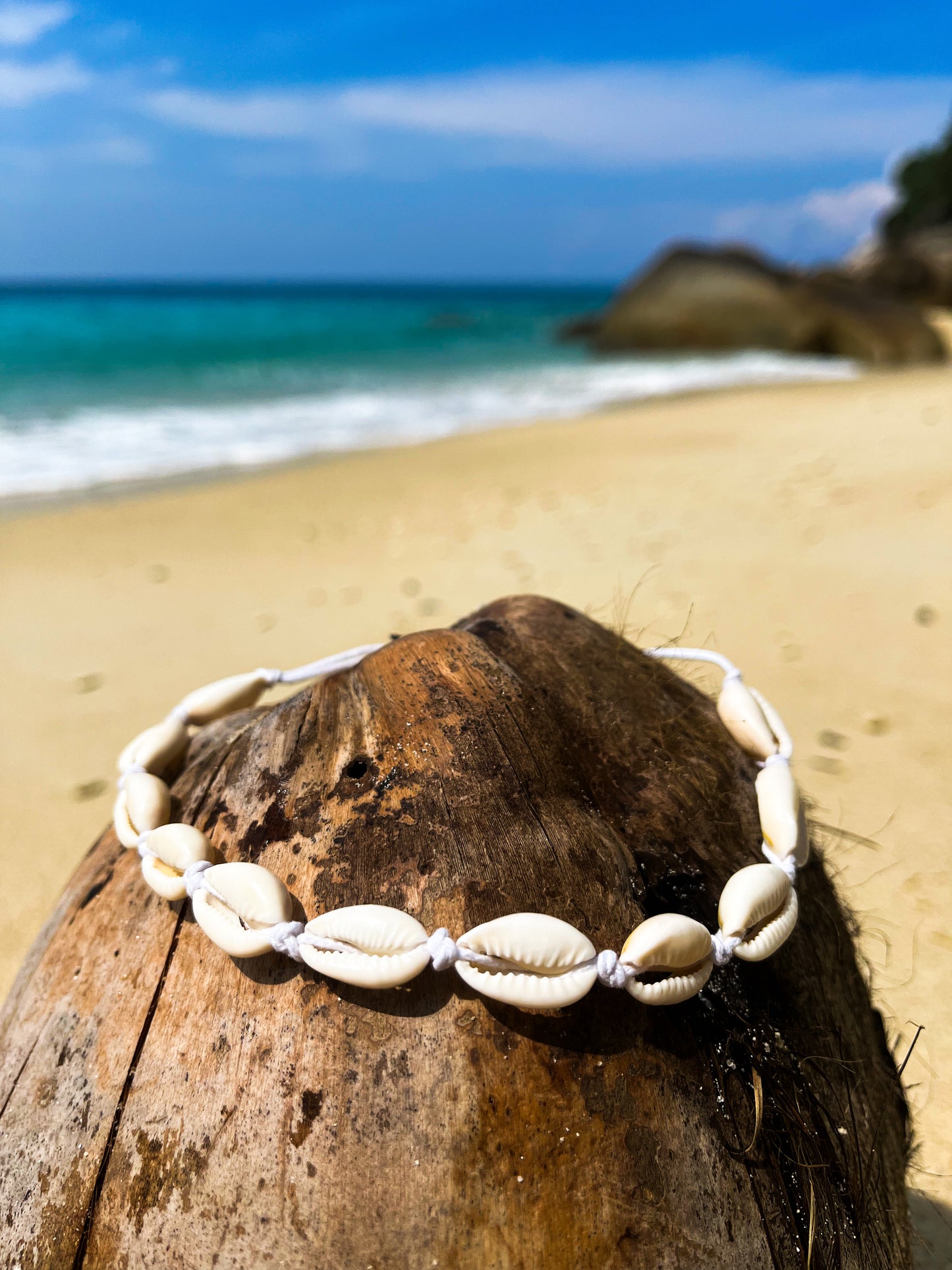 Kapalua Bay - Cowrie Shell Choker