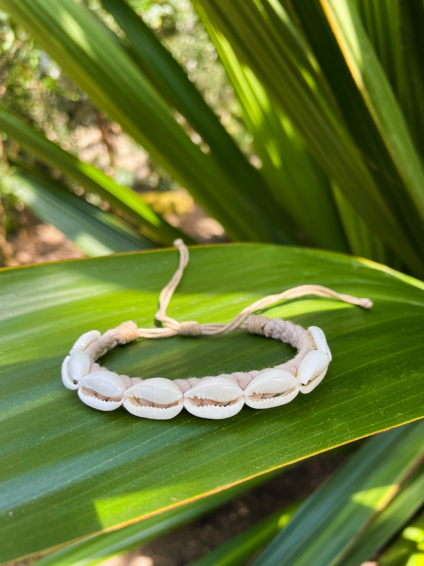 natural hemp bracelet with cowrie shells displayed on a palm leaf