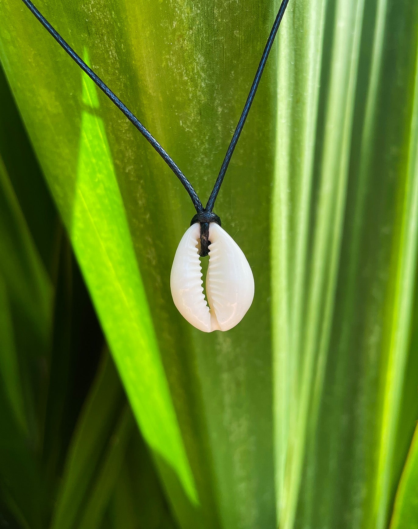 shell pendant on a black cord hanging in front of green tropical leaves
