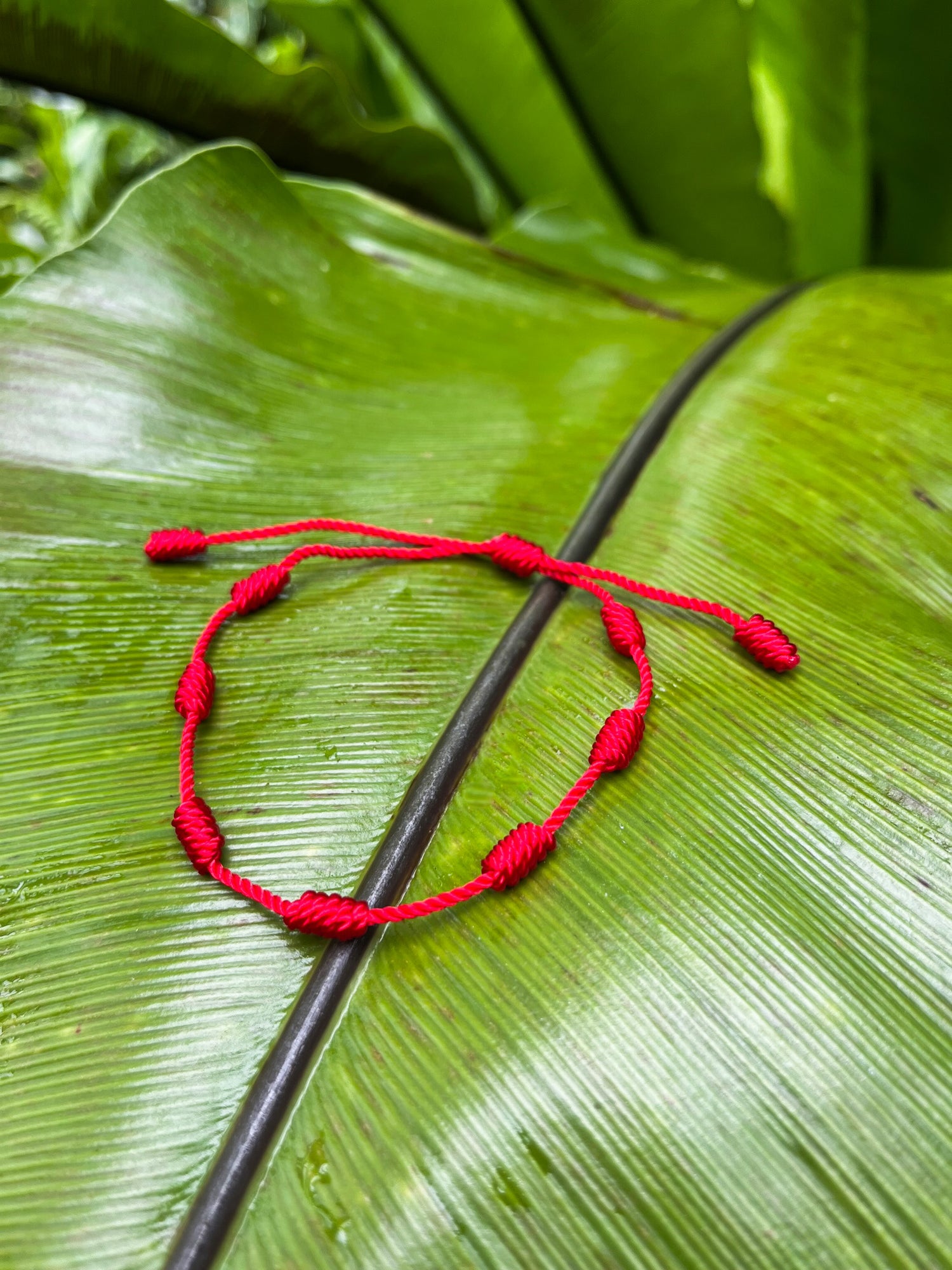 red satin friendship bracelet displayed a large shiny tropical leaf