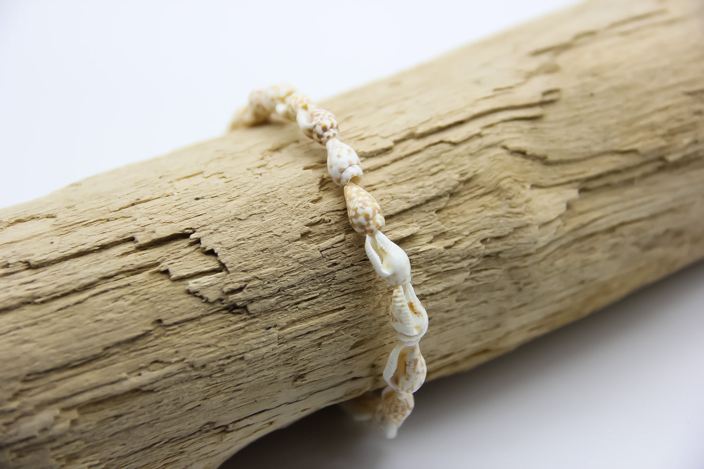 Seashell bracelet on a piece of driftwood