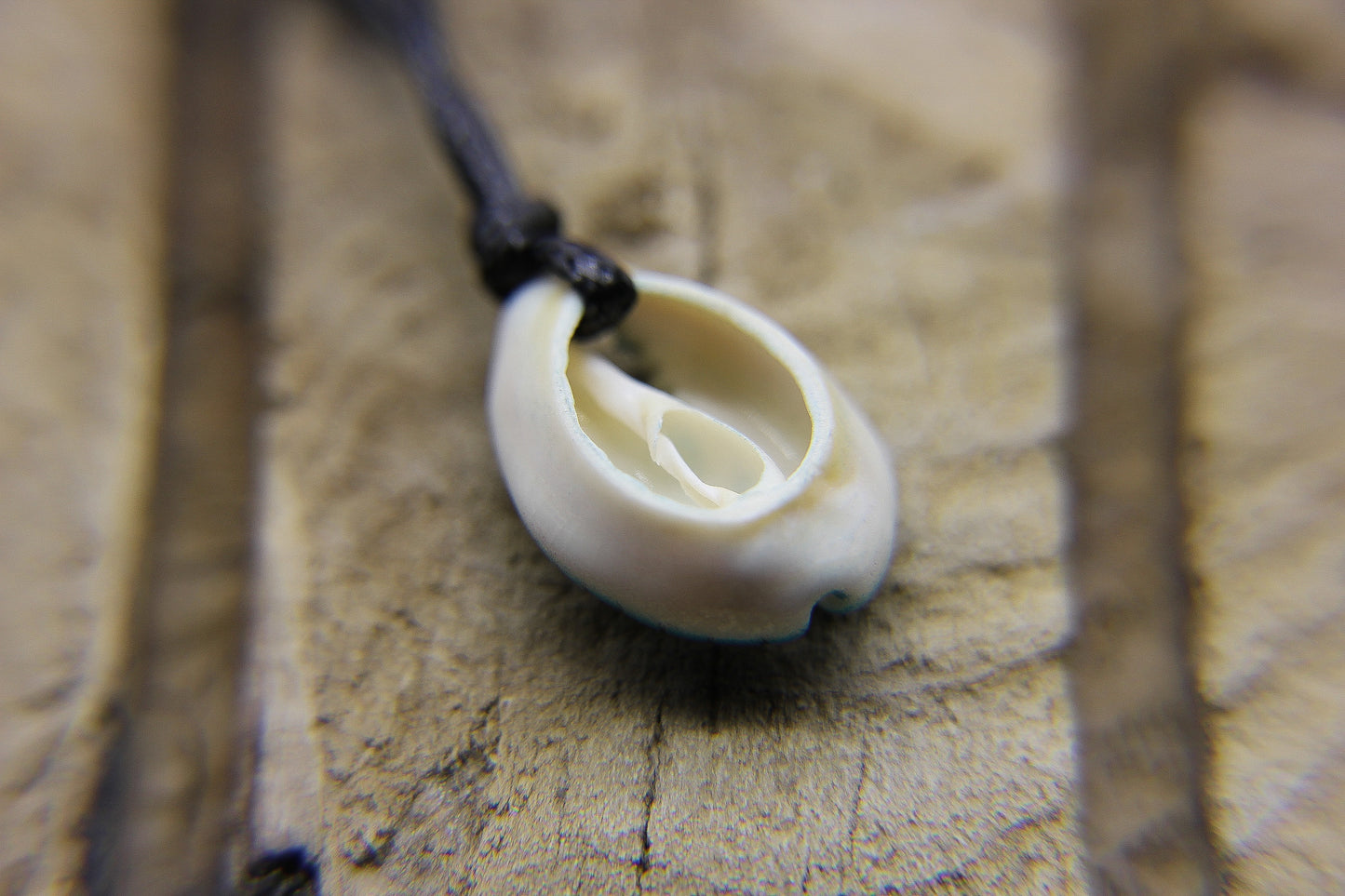Back of a cowrie shell pendant